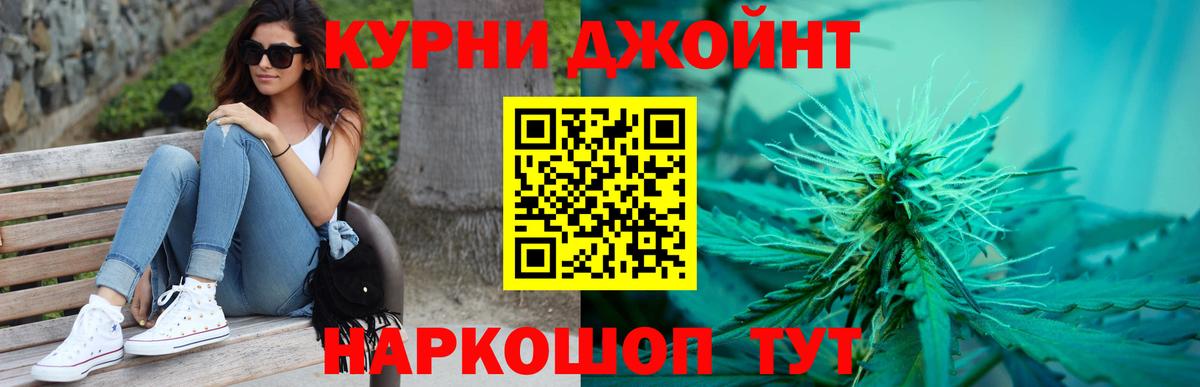 Каннабис индика Когалым